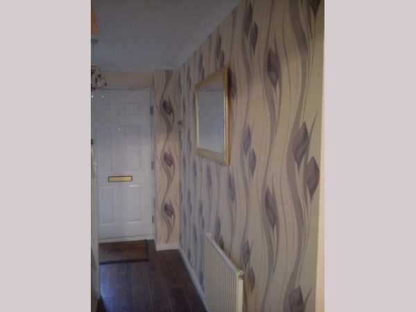 Painter and decorator job images
