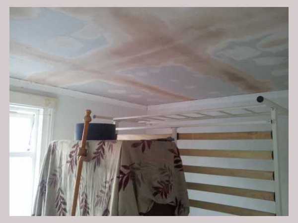 Painter and decorator job images